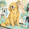 How to Clean Dog Ears Safely: Step-by-Step Guide