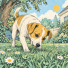 Why Do Dogs Eat Grass? What It Really Means (and When to Worry)