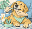 How to Brush Your Dog's Teeth (Step by Step)