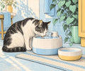 How to Get Your Cat to Drink More Water