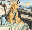 How to Travel with a Dog in the Car (Calm & Safe)