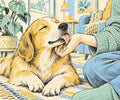Why Does My Dog Lick Me? The Real Reasons Behind the Kisses