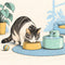 Cat Feeding