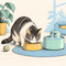 Cat Feeding