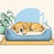 Dog Beds & Furniture