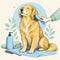 Dog Grooming & Care