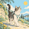 Cat Carriers & Travel - Harnesses & Leashes