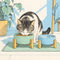 Cat Feeding - Bowls & Feeders