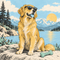 Dog Apparel & Accessories: Sunglasses & Accessories