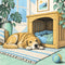 Dog Beds & Furniture: Crates & Houses