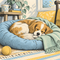 Dog Beds & Furniture: Cushions & Blankets