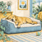Dog Beds & Furniture: Orthopedic Beds