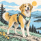 Dog Collars, Harnesses & Leads: Harnesses