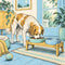 Dog Feeding: Bowls & Feeders