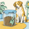 Dog Feeding: Food Storage