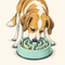 Dog Feeding: Slow Feeders