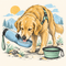 Dog Travel & Outdoor: Water Bottles & Bowls