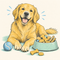 Dog Treats: Biscuits & Chews