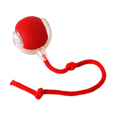 Collection image for: Cat Toys - Balls & Chasers
