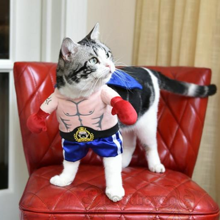 🐱 Boxer Cat Costume – Punchy Pet Outfit for Fun