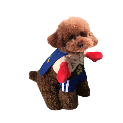 🐱 Boxer Cat Costume – Punchy Pet Outfit for Fun