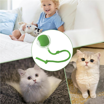 🐱 Interactive Rolling Cat Ball