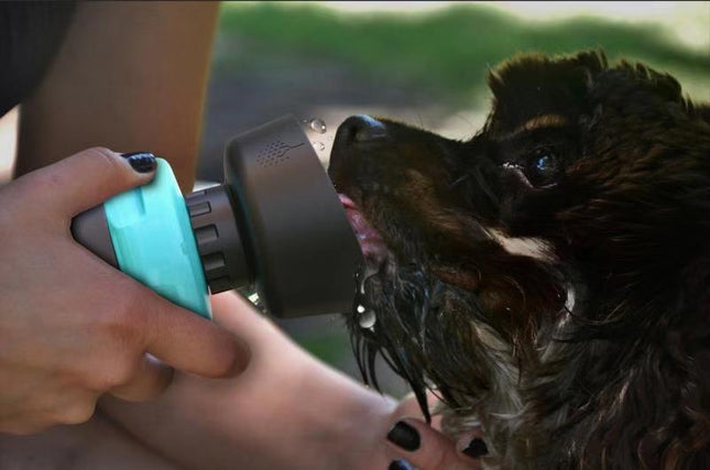 🐶 Foldable Dog Travel Water Bottle – Portable Dispenser