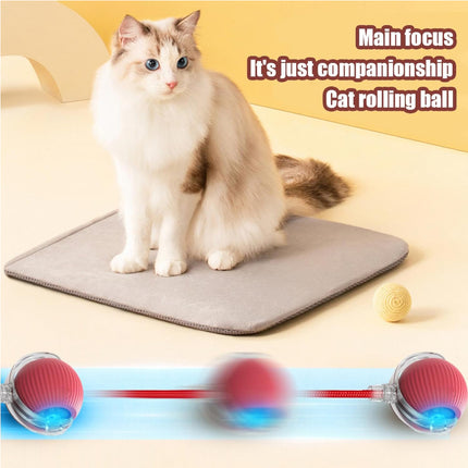 🐱 Interactive Rolling Cat Ball