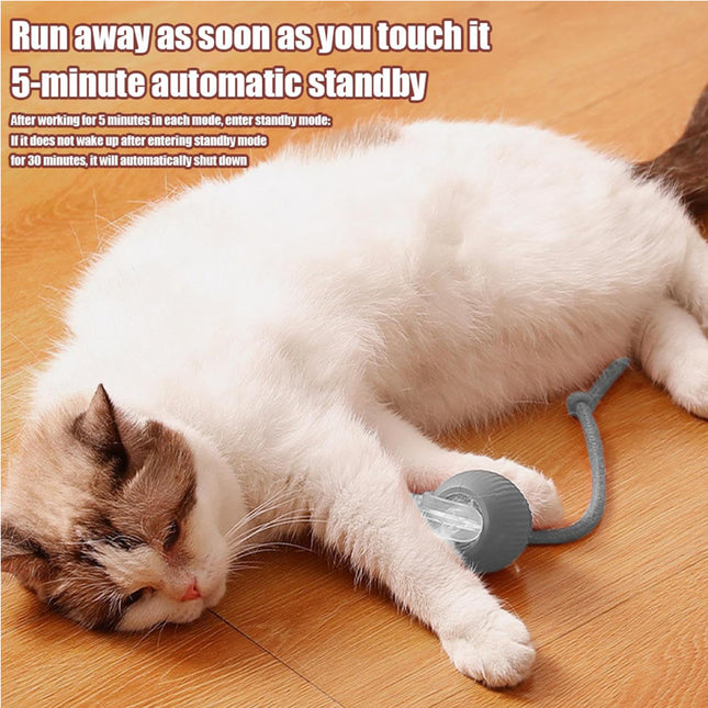 🐱 Interactive Rolling Cat Ball