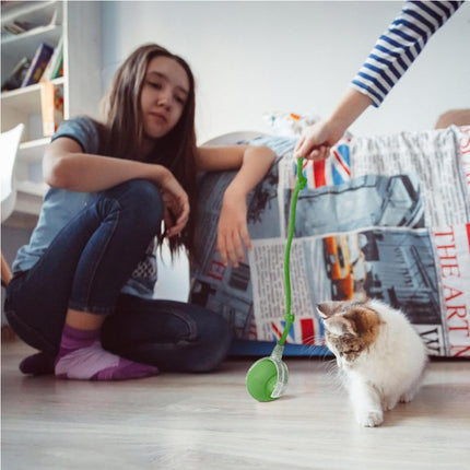 🐱 Interactive Rolling Cat Ball
