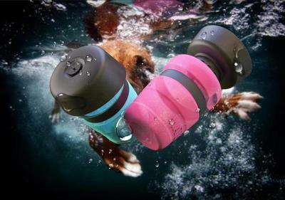 🐶 Foldable Dog Travel Water Bottle – Portable Dispenser
