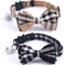 Collars & Charms