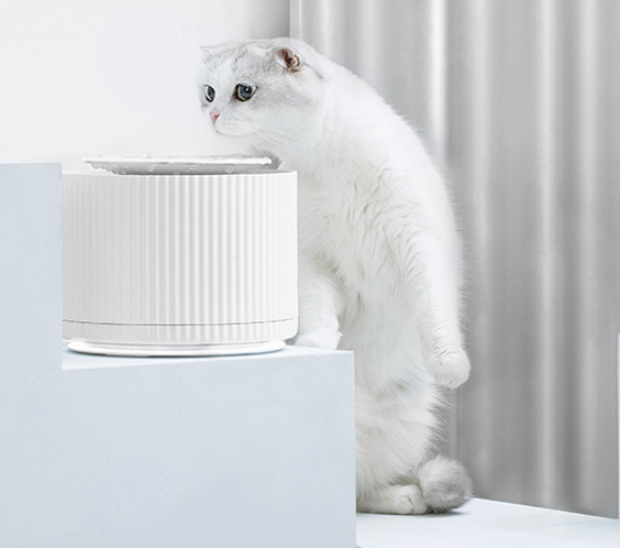 🐱 Cat Drinking Fountain – Automatic Circulating Water Dispenser