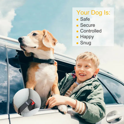 🐶 Adjustable Dog Seat Belt Leash (2-Pack) – Car Safety Harness Lead