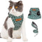 Harnesses & Leashes