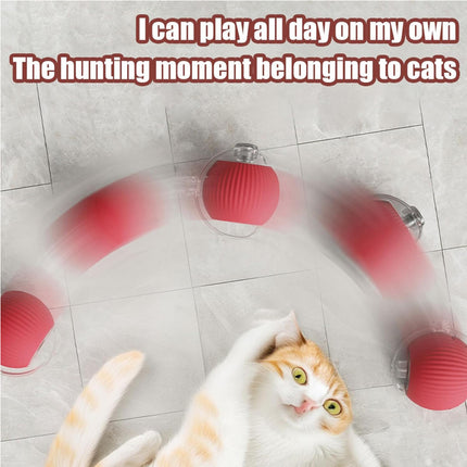 🐱 Interactive Rolling Cat Ball