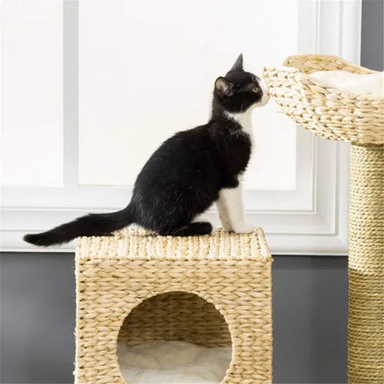 🐱 Cat Tree Tower – Multi-Level Climbing Frame with Scratching Posts