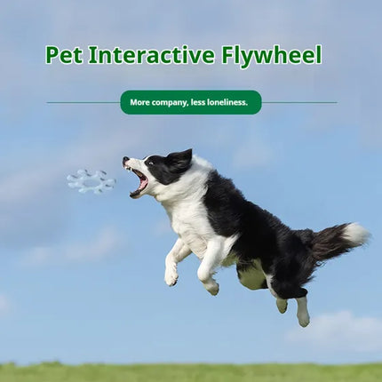 🐶 Interactive Flywheel Dog Toy – Spinning Chase Toy for Active Pups