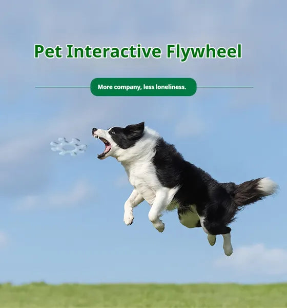 🐶 Interactive Flywheel Dog Toy – Spinning Chase Toy for Active Pups