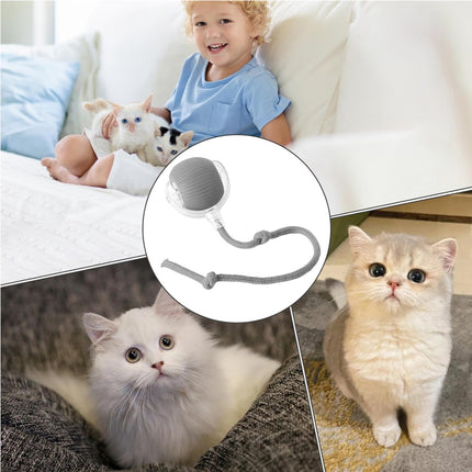 🐱 Interactive Rolling Cat Ball
