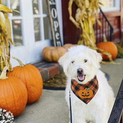 [*] Halloween Dog Pumpkin Bandana – Reversible Holiday Scarf