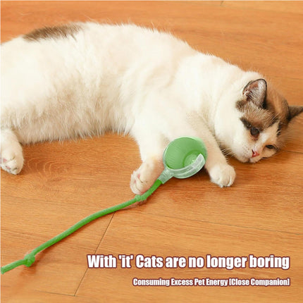 🐱 Interactive Rolling Cat Ball