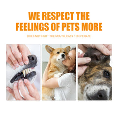 Collection image for: Dog Grooming & Care: Cleaning Wipes & Tools