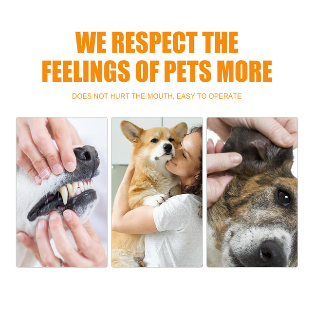 🐶🐱 50-Pack Pet Dental Finger Wipes – Plaque & Tartar Remover for Dogs & Cats