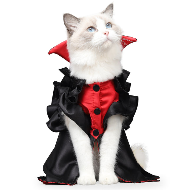 🐱 Cat Vampire Costume – Spooky Halloween Outfit