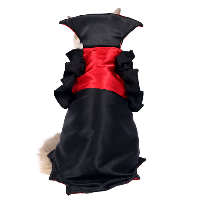 🐱 Cat Vampire Costume – Spooky Halloween Outfit