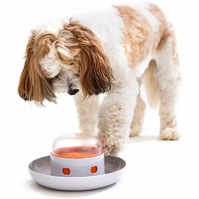 🐶 Interactive Dog Food Dispenser – Press-to-Play Feeder