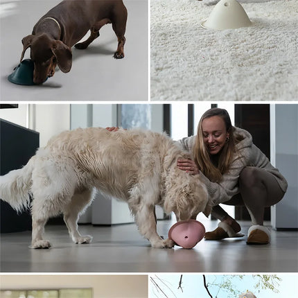 🐶 Hidden Treats Chew Toy – Interactive Brain Game for Dogs