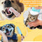 Grooming & Care