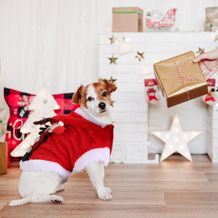 🐶🐱 Christmas Santa & Reindeer Antlers Costume – Warm Holiday Outfit for Small & Medium Dogs & Cats